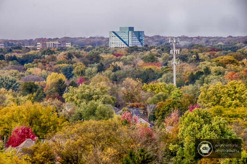 View of MetroWest building from Moser Tower
